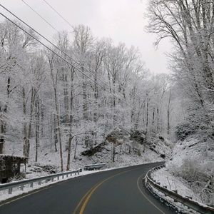 Meet your Posher, Rodney